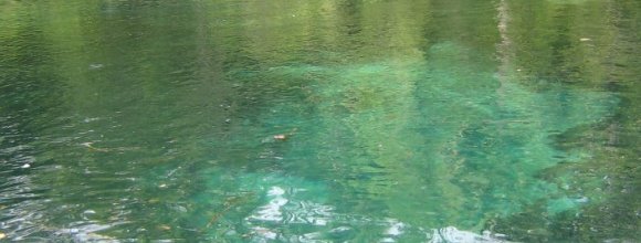 Crystal and clear water