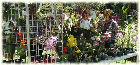 Sunken Gardens - Orchid Festival 2008