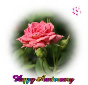 Anniversary greeting card