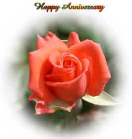 Anniversary greeting card