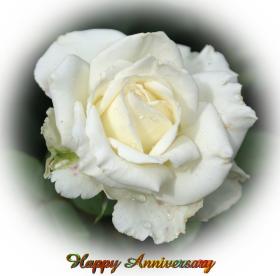 Anniversary greeting card