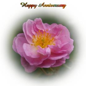 Anniversary greeting card