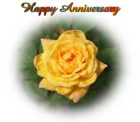 Anniversary greeting card