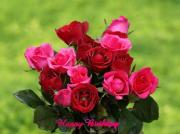 eCard bouquet dark red and dark pink roses