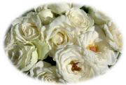 bouquet de roses blanches