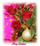 eCards red Christmas roses