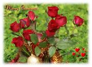 eCards red Christmas roses