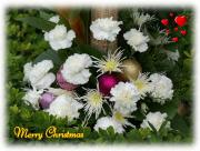 Christmas flowers