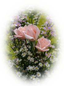 Free eCard pink roses