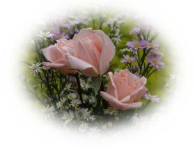 Free eCard pink roses