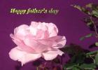 Father's day LoveCards pink rose - free eCards by eMail to say *happy fathersday*