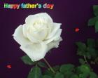 Father's day LoveCards white rose - free eCards by eMail to say *happy fathersday*