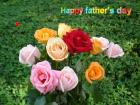 Father's day LoveCards mixed colors roses bouquets - free eCards by eMail to say *happy fathers day*