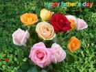 Father's day LoveCards mixed colors roses bouquets - free eCards by eMail to say *happy fathers day*