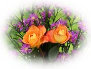 orange roses greeting card