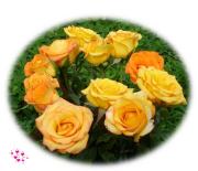 love greeting card apricot roses bouquet