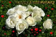 white roses love card