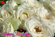 white roses love card