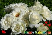 white roses love card