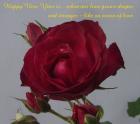 free eCard happy new year love text on red rose