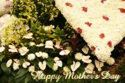 Flowers - Happy Mother's Day