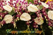 Pink Flamingo Flowers with Orchids - Happy Mother's Day