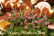 Red roses and lilac Carnations - Happy Mother's Day