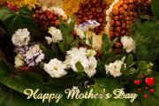 Exotic flowers - Happy Mother's Day