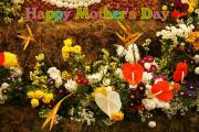 Exotic flower arrangement with red and pink Flamingo flowers - Happy Mother's Day