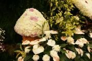 Exotic flower arrangement with Chrysanthemums and white Anthurium flowers