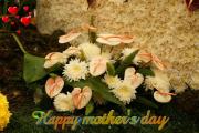 Pink Anthurium flower arrangement - Mother's Day eCards