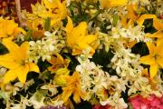 Tropical flower arrangement with white Orchids