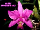 happy mother day love cards with lilac orchid for mothers day