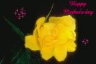 mother day love cards with yellow rose for mothers day