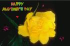 mother day love cards - free lovecards with yellow rose for mothers day