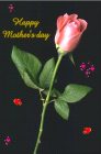 mother day - free ecards with red rose for mothers day