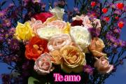 Te amo postales rosas