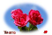 Te amo postales rosas