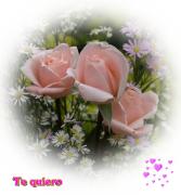 Rosas de amor texto *te quiero*