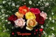 Rosas de amor texto *te quiero*