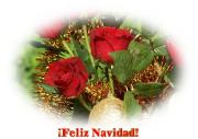 Flores Navideños