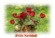 Flores Navideños