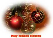 Flores Navideños