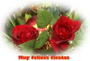 Flores Navideños