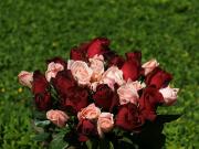 thumbs/ramos_de_rosas-dsc00976-2.jpg