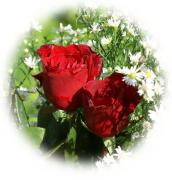 Rosas rojas