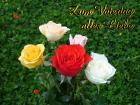 Vatertag Grusskarten Rosenstrauss pfirsich, aprikose, zart rosa, rot und weisse Rosen mit Text: Alles Liebe zum Vatertag