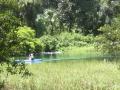 Canoeing in Rainbow river