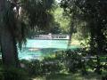 beautiful blue water scenery at Rainbow Springs