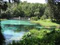 beautiful blue water scenery at Rainbow Springs